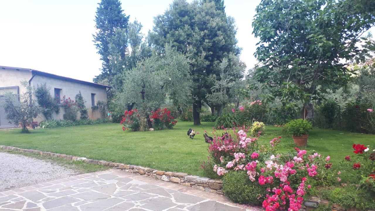 لوسيغنانو B&B L'Oliveto المظهر الخارجي الصورة